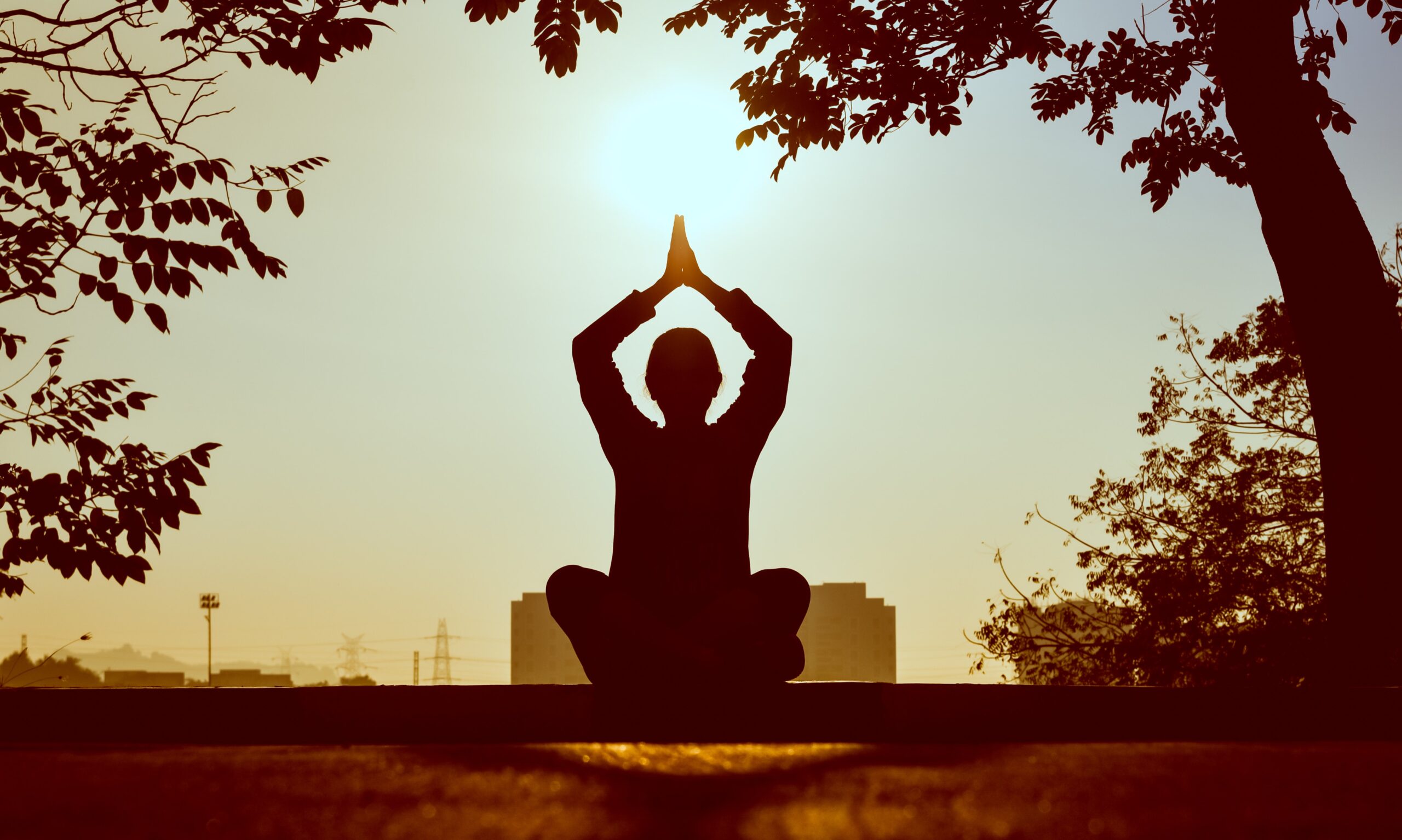 How does meditation impact our overall health?